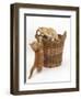 Two Ginger Kittens Playing in a Wicker Basket-Mark Taylor-Framed Premium Photographic Print