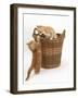 Two Ginger Kittens Playing in a Wicker Basket-Mark Taylor-Framed Photographic Print