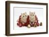 Two Ginger Kittens with Red Tinsel and Christmas Decorations-Mark Taylor-Framed Photographic Print