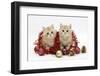 Two Ginger Kittens with Red Tinsel and Christmas Decorations-Mark Taylor-Framed Photographic Print