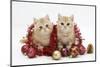 Two Ginger Kittens with Red Tinsel and Christmas Decorations-Mark Taylor-Mounted Photographic Print