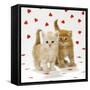 Two Ginger Tabby Kittens on Hearts Background-null-Framed Stretched Canvas