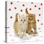 Two Ginger Tabby Kittens on Hearts Background-null-Stretched Canvas