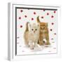 Two Ginger Tabby Kittens on Hearts Background-null-Framed Photographic Print