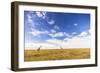 Two Giraffes Under The Dark Blue Sky In The Maasai Mara, Kenya-Axel Brunst-Framed Photographic Print