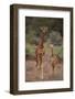 Two Giraffes Walking through the Bush-DLILLC-Framed Photographic Print