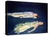 Two Girls Floating, 2004-Lucinda Arundell-Stretched Canvas