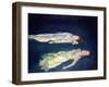 Two Girls Floating, 2004-Lucinda Arundell-Framed Giclee Print