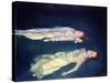 Two Girls Floating, 2004-Lucinda Arundell-Stretched Canvas