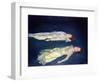 Two Girls Floating, 2004-Lucinda Arundell-Framed Giclee Print