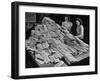Two Girls Looking over Huge Pile of Policies Waiting to Be Mailed-null-Framed Photographic Print