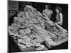 Two Girls Looking over Huge Pile of Policies Waiting to Be Mailed-null-Mounted Photographic Print