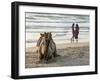 Two Girls on Beach at Dusk, Camel Waiting, Ganpatipule, Karnataka, India, Asia-Annie Owen-Framed Photographic Print
