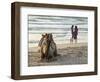 Two Girls on Beach at Dusk, Camel Waiting, Ganpatipule, Karnataka, India, Asia-Annie Owen-Framed Photographic Print