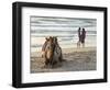 Two Girls on Beach at Dusk, Camel Waiting, Ganpatipule, Karnataka, India, Asia-Annie Owen-Framed Photographic Print