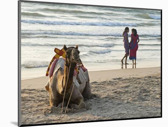 Two Girls on Beach at Dusk, Camel Waiting, Ganpatipule, Karnataka, India, Asia-Annie Owen-Mounted Photographic Print