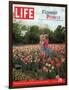 Two Girls Sharing a Secret Standing in Tulip Beds at a Dallas Flower Show, April 29, 2005-Greg Miller-Framed Photographic Print