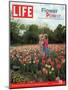 Two Girls Sharing a Secret Standing in Tulip Beds at a Dallas Flower Show, April 29, 2005-Greg Miller-Mounted Photographic Print