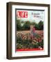 Two Girls Sharing a Secret Standing in Tulip Beds at a Dallas Flower Show, April 29, 2005-Greg Miller-Framed Photographic Print