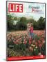 Two Girls Sharing a Secret Standing in Tulip Beds at a Dallas Flower Show, April 29, 2005-Greg Miller-Mounted Photographic Print