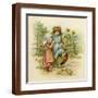 Brown Frame