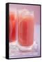 Two Glasses of Pink Grapefruit Juice with Ice Cubes-Foodcollection-Framed Stretched Canvas