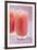 Two Glasses of Pink Grapefruit Juice with Ice Cubes-Foodcollection-Framed Photographic Print