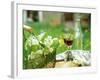 Two Glasses of Red Wine in Springtime Garden-Christine Gillé-Framed Photographic Print