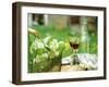Two Glasses of Red Wine in Springtime Garden-Christine Gillé-Framed Photographic Print