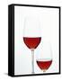 Two Glasses of Red Wine-Joerg Lehmann-Framed Stretched Canvas