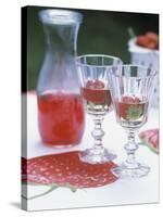 Two Glasses of Strawberry Wine on a Table in the Garden-Alena Hrbkova-Stretched Canvas