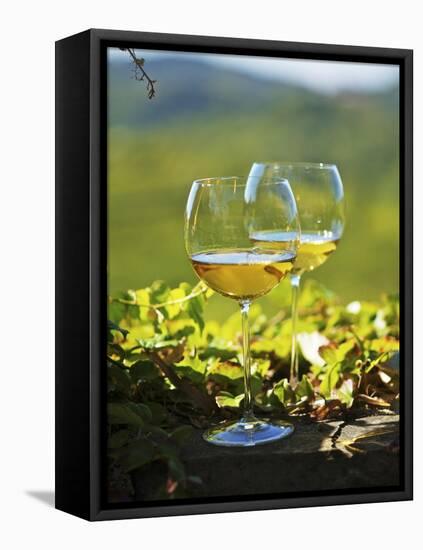 Two Glasses of White Wine Against the Friaul Landscape of Italy-Herbert Lehmann-Framed Stretched Canvas