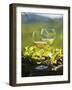 Two Glasses of White Wine Against the Friaul Landscape of Italy-Herbert Lehmann-Framed Premium Photographic Print