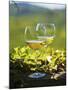 Two Glasses of White Wine Against the Friaul Landscape of Italy-Herbert Lehmann-Mounted Photographic Print