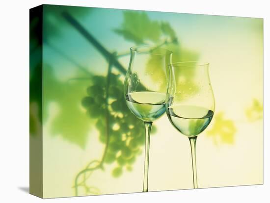 Two Glasses of White Wine; Green Grape Backdrop-Bodo A^ Schieren-Stretched Canvas