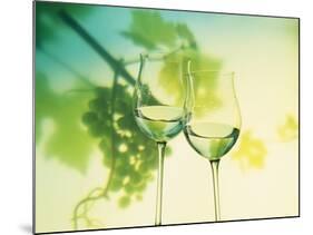 Two Glasses of White Wine; Green Grape Backdrop-Bodo A^ Schieren-Mounted Photographic Print