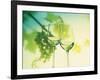 Two Glasses of White Wine; Green Grape Backdrop-Bodo A^ Schieren-Framed Photographic Print