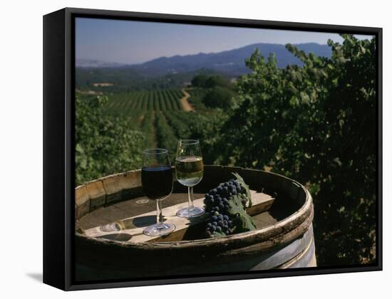 Two Glasses of Wine on Barrel at Kunde Estates Winery, Sonoma Valley, Sonoma County, California-null-Framed Stretched Canvas