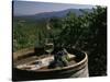 Two Glasses of Wine on Barrel at Kunde Estates Winery, Sonoma Valley, Sonoma County, California-null-Stretched Canvas