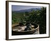 Two Glasses of Wine on Barrel at Kunde Estates Winery, Sonoma Valley, Sonoma County, California-null-Framed Photographic Print