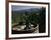 Two Glasses of Wine on Barrel at Kunde Estates Winery, Sonoma Valley, Sonoma County, California-null-Framed Photographic Print