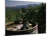 Two Glasses of Wine on Barrel at Kunde Estates Winery, Sonoma Valley, Sonoma County, California-null-Mounted Photographic Print