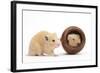 Two Golden Hamsters Playing with a China Pot-Mark Taylor-Framed Photographic Print