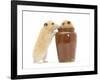 Two Golden Hamsters Playing with a China Pot-Mark Taylor-Framed Photographic Print