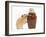 Two Golden Hamsters Playing with a China Pot-Mark Taylor-Framed Photographic Print