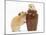 Two Golden Hamsters Playing with a China Pot-Mark Taylor-Mounted Photographic Print