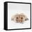 Two Golden Retriever Puppies. 6 Weeks Old, Lying Side by Side-Jane Burton-Framed Stretched Canvas