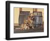 Two Golden Retrievers Next to Two Wooden Barrels on a Wooden Deck-Zandria Muench Beraldo-Framed Photographic Print