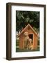 Two Golden Retrievers-DLILLC-Framed Photographic Print