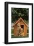 Two Golden Retrievers-DLILLC-Framed Photographic Print